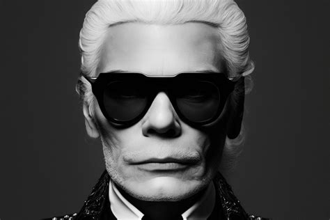 is karl lagerfeld better than michael kors|Karl Lagerfeld brand.